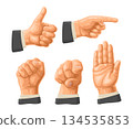 Male hand sign. Fist, Like, Pointing, Stop. Vector color illustration 134535853
