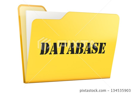 Database, yellow folder. 3D rendering 134535903