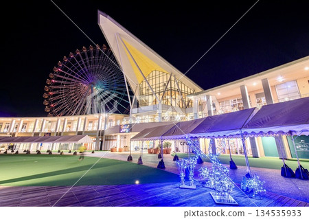 蒲郡市拉古納滕博斯（節慶市場）的夜景 134535933