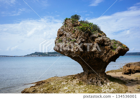Tomb of Amamitieu 134536001