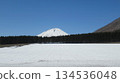純白的雪原和羊蹄山 134536048