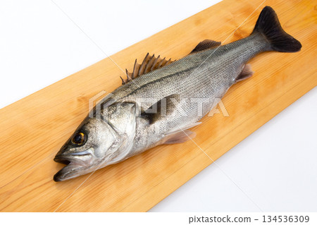 Fresh sea bass 134536309