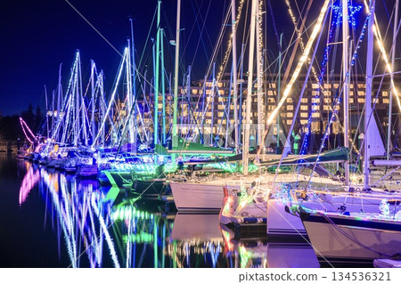 蒲郡市拉古納碼頭的遊艇燈光秀 134536321