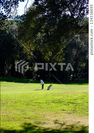 woman playing golf in the green fairway club 134536695