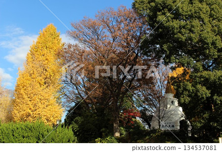 東京台東區上野公園的秋葉 134537081