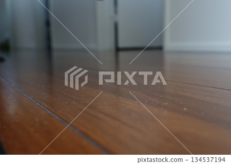 Image of indoor dust accumulated on wooden floor and the need for cleaning. Image of indoor dust accumulated on wooden floor and the need for cleaning. 134537194
