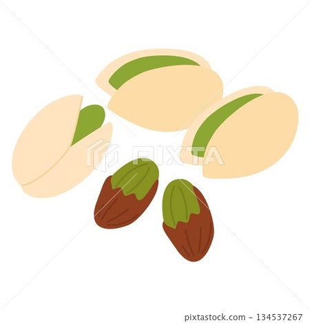Salted and Roasted Pistachios illustration Salted and Roasted Pistachios illustration 134537267