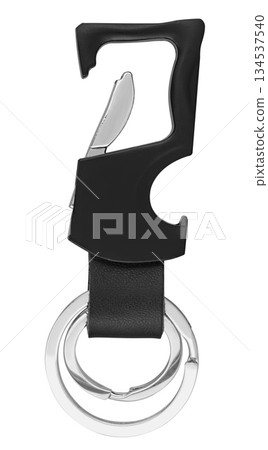 keychain for car keys, on white background in insulation keychain for car keys, on white background in insulation 134537540