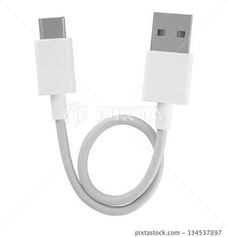 cable with USB and Type-C connector, insulated on white background cable with USB and Type-C connector, insulated on white background 134537897