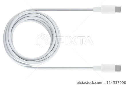 cable with USB and Type-C connector, insulated on white background cable with USB and Type-C connector, insulated on white background 134537908