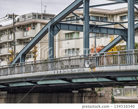 The name of the bridge "Shin-Ogibashi" over the Onagi River The name of the bridge "Shin-Ogibashi" over the Onagi River 134538340
