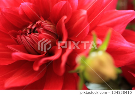 微笑回歸 134538410