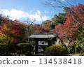 Autumn leaves at Jochiji Temple in Kita-Kamakura 134538418