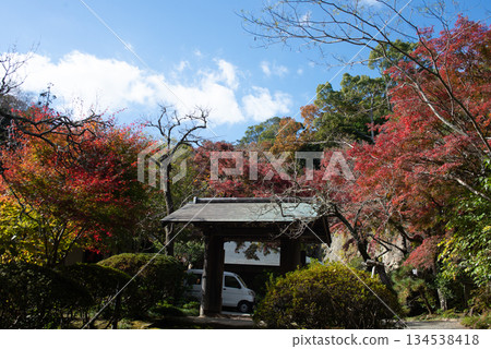 Autumn leaves at Jochiji Temple in Kita-Kamakura Autumn leaves at Jochiji Temple in Kita-Kamakura 134538418