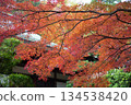 Autumn leaves at Hokokuji Temple in Kamakura 134538420