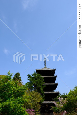 春日里，仁和寺五重塔的景色美不勝收。 134538457