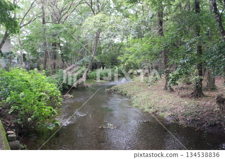 Isokawa Green Park 134538836