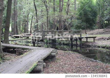 磯川綠園 磯川綠園 134538841