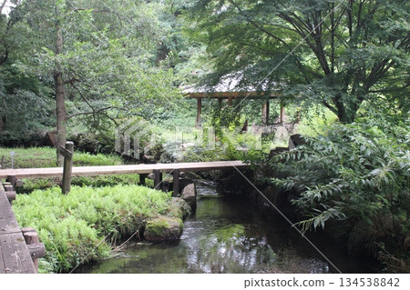 磯川綠園 磯川綠園 134538842