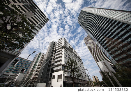 Shinonome Tower Apartment (Koto Ward, Tokyo) 134538880