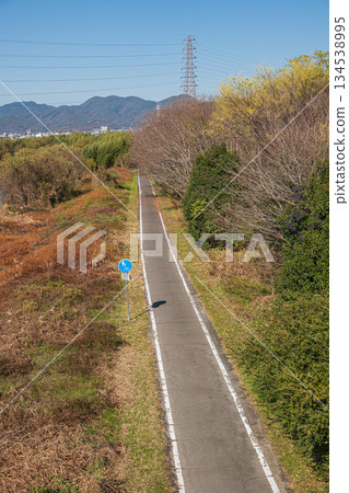 Winter scenery of the Katsura River, Kyoto City 134538995