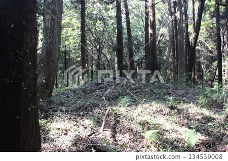 生田目步行道 生田目步行道 134539008