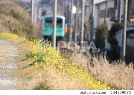 Roads and trains along the Daiyuzan Line 134539020
