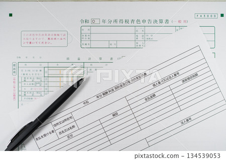 Blue return financial statements and payment records 134539053