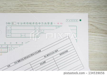 Blue return financial statements and payment records 134539056