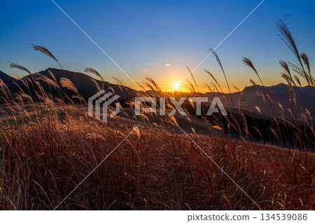 An ultra-wide-angle lens captures the evening scenery of Soni Plateau in December. From sunset to a beautiful sunset, the golden sky and silver grasses ① An ultra-wide-angle lens captures the evening scenery of Soni Plateau in December. From sunset to a beautiful sunset, the golden sky and silver grasses ① 134539086