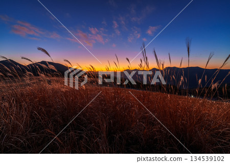 12月,超廣角鏡頭捕捉了索尼高原的傍晚景色。從日落到絢麗的夕陽,高原被山坡的餘暉照亮。 12月,超廣角鏡頭捕捉了索尼高原的傍晚景色。從日落到絢麗的夕陽,高原被山坡的餘暉照亮。 134539102