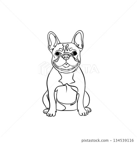 Continuous line art illustration of a French bulldog, simple and modern pet design. Continuous line art illustration of a French bulldog, simple and modern pet design. 134539116