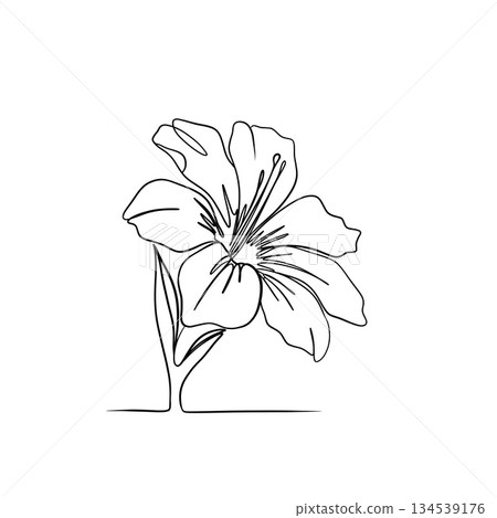 Minimalist exotic flower line art illustration inspired by a lily. Elegant continuous one-line drawing with a modern botanical aesthetic Minimalist exotic flower line art illustration inspired by a lily. Elegant continuous one-line drawing with a modern botanical aesthetic 134539176