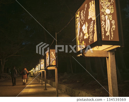 Fantastic Japanese lights illuminating the approach to Nara Park Fantastic Japanese lights illuminating the approach to Nara Park 134539369