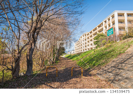 Katsura River riverside promenade and riverside apartment buildings, Kyoto City Katsura River riverside promenade and riverside apartment buildings, Kyoto City 134539475