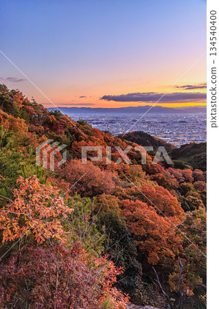 從二條山眺望奈良盆地的黎明和秋葉。 134540400