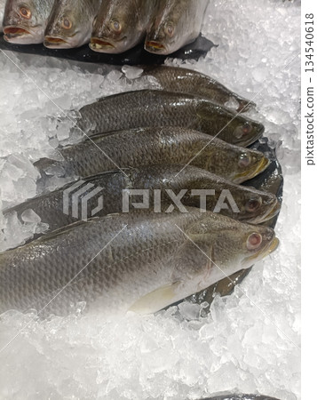 Fresh fish ice seafood market display raw fish chilled food Fresh fish ice seafood market display raw fish chilled food 134540618