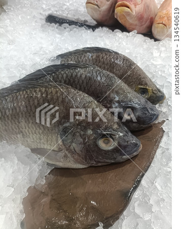 Fresh fish seafood fish market crushed ice food display grocery raw food chilled display of fresh fish crushed ice seafood 134540619