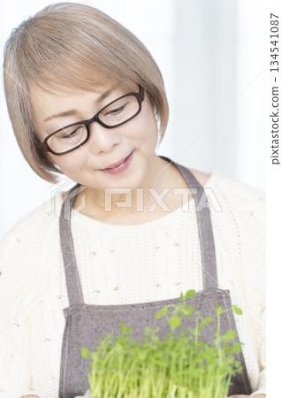 Senior woman growing pea sprouts in the kitchen 134541087