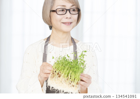 Senior woman growing pea sprouts in the kitchen Senior woman growing pea sprouts in the kitchen 134541091