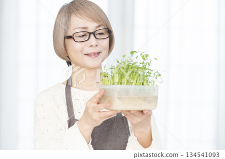 一位老婦人在廚房培育豌豆苗 一位老婦人在廚房培育豌豆苗 134541093