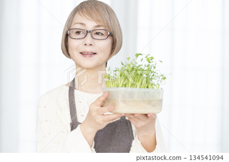 Senior woman growing pea sprouts in the kitchen Senior woman growing pea sprouts in the kitchen 134541094