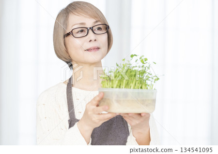 Senior woman growing pea sprouts in the kitchen Senior woman growing pea sprouts in the kitchen 134541095
