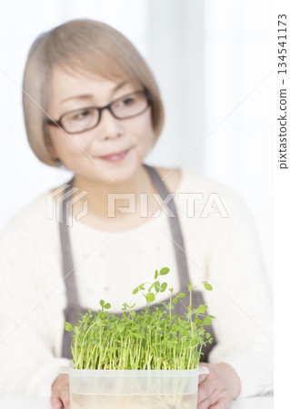 一位老婦人在廚房種豆芽菜（畫面模糊） 134541173