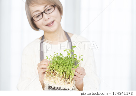 Senior woman growing bean sprouts in the kitchen Out of focus 134541178
