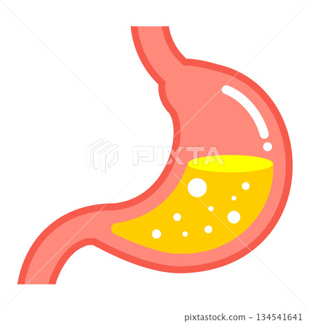 Simple stomach illustration organ health care vector Simple stomach illustration organ health care vector 134541641