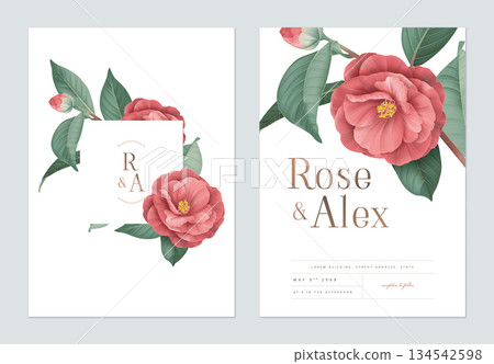 Floral wedding invitation card template design, red Semi-double Camellia flowers with leaves on white Floral wedding invitation card template design, red Semi-double Camellia flowers with leaves on white 134542598