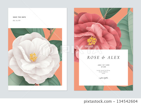 Floral wedding invitation card template design, white and red Semi-double Camellia flowers with leaves on bright red 134542604