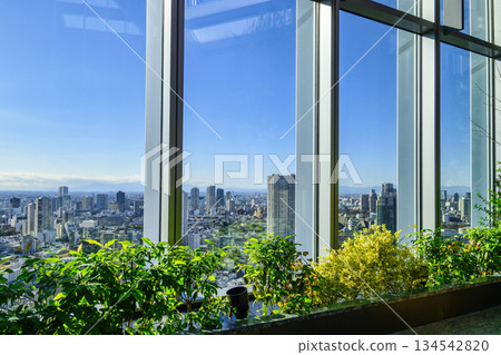 東京港區高輪門戶城新滿高輪28樓觀景台（綠之庭） 134542820