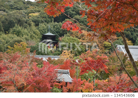 永觀禪林寺的秋天:楓樹環繞的多寶塔(京都市左京區) 永觀禪林寺的秋天:楓樹環繞的多寶塔(京都市左京區) 134543606